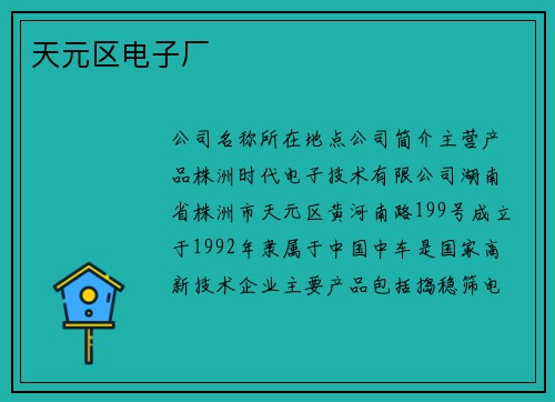 天元区电子厂